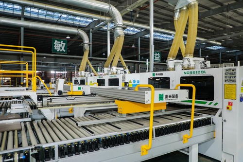 兔宝宝服务 全链条精准护航，重塑家居建材行业品质服务新标杆